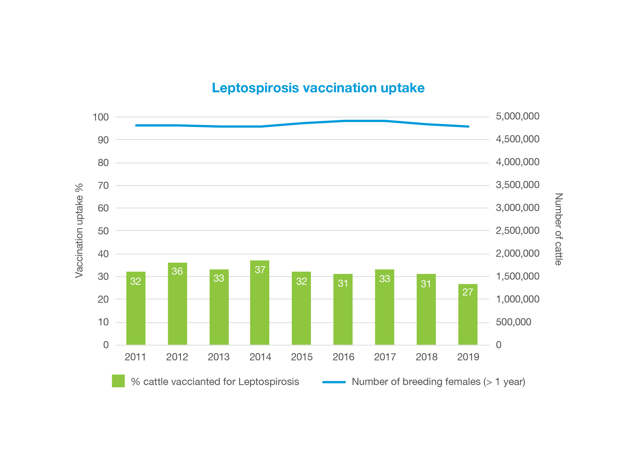 leptospirosis-vaccines-in-cattle-ahdb